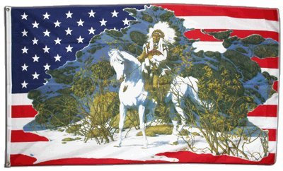 Digni® Geant Drapeau USA Etats-Unis avec Chef Indien - 150 x 250 cm