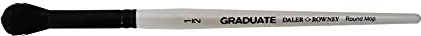 Daler Rowney - 212188050 - Kit De Loisirs Créatifs - Pinceau Estompeur Rond Graduate en Poils Noirs De Chèvre - Taille 1/2