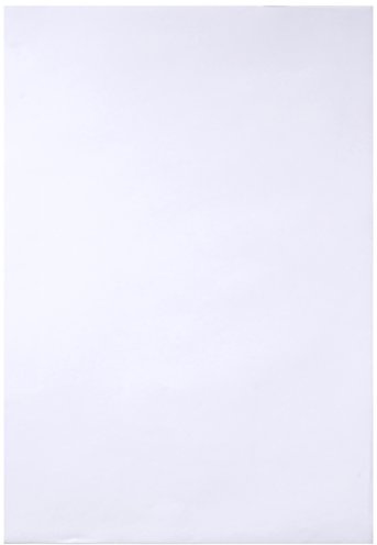 Clairefontaine 37240C Skizzenpapier (55 g, DIN A4, 21 x 29,7 cm, 250 Blatt, ideal für Künstler oder die Schule) weiß