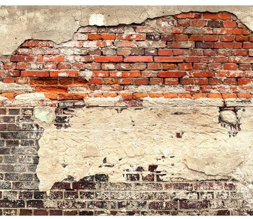 decomonkey - Papier Peint Panoramique Mur de Pierre 350x256 cm - Décoration murale – Tapisserie décorative pour chambre salon - Architecture brique modèle coloré urbain moderne texture fond