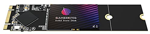 GamerKing SSD M.2 2280 256GB Ngff Internal Solid State Drive 1TB 512GB 128GB 64GB for Desktop Laptops SATA III 6Gb/s High Performance Hard Drive (256GB, M.2 2280)