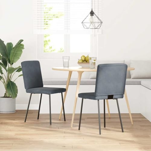 HETFTJN Esszimmerstühle 2er Set Dunkelgrau Samt mit Bequemer Polsterung Metallgestell 45x54x83 cm Modernes Design Robust und Langlebig für Esszimmer Wohnzimmer Küche Gästezimmer
