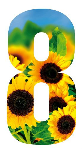 MONOGRAM Classic Signs Wheelie Bin Number Sunflower 8