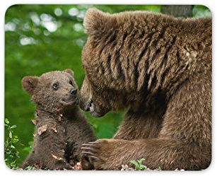 Destination Vinyl Ltd Mother & Cub Brown Bear Mouse Mat Pad - Bears Wild Animal PC Computer #8261