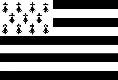 AZ FLAG - Drapeau Bretagne Alternatif Spécial Extérieur - 150x90 cm - Drapeau Breton - France En Maille Bloquée Avec Anneaux Plastiques Intégrés - 170g