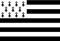 AZ FLAG - Drapeau Bretagne Alternatif Spécial Extérieur - 150x90 cm - Drapeau Breton - France En Maille Bloquée Avec Anneaux Plastiques Intégrés - 170g