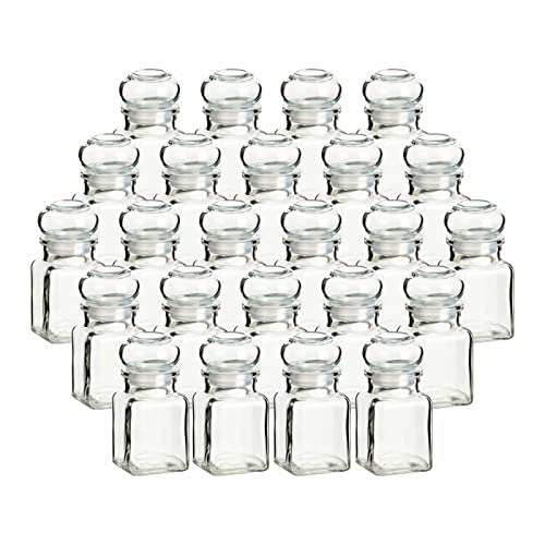 gouveo 24er Set Gewürzgläser 150 ml eckig mit Glaskorken - Kleine Korkengläser mit Glasstopfen - Leere Vorratsgläser für Kräuter, Gewürze - Kleine Glasdose