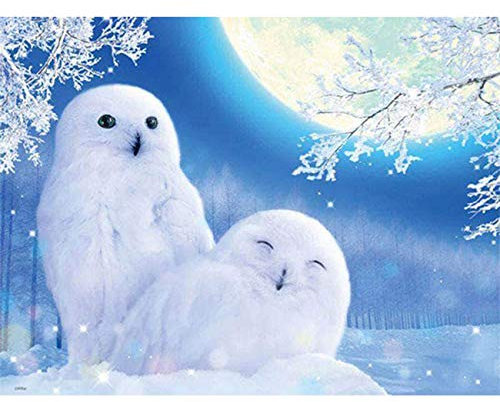 diamond painting set full,Diy Paar Schneeeule Runde Diamant Malerei Tier Serie Diamant Malerei Bohren Voll Platz Strass Stickerei Kreuzstich 30x40cm