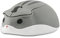 YOCUNKER Wireless Mouse 2.4Ghz Hamster Shape Cute Animal Design M Size Silent Click USB Optical Mouse Lightweight for Kids Compatible with PC/Laptop/Computer/MacBook(Gray)