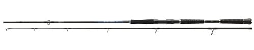 Daiwa Sealine Pilk 2,10m - 2,70m Pilkrute Meeresrute (2,10m / 100-300g)