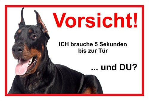 Melis-Folienwerkstatt Schild Warnschild Vorsicht freilaufender Hund – Dobermann Achtung – 5 Sekunden bis zur Tür – 20x30cm – S22F