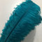 Sowder 10pcs Strauß-Federn 12-14inch (30-35cm) für Haupthochzeits-Dekoration (Blaugrün)