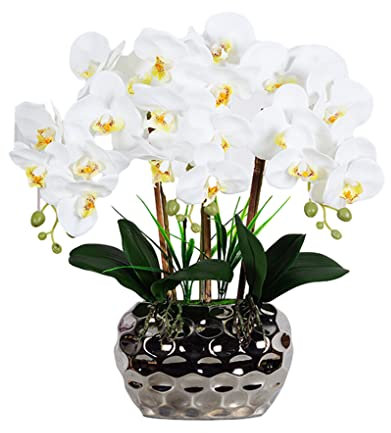 HOJIOESRD Grande Bonsai di Orchidea Artificiale con Vaso Realistico Phalaenopsis Real Touch Composizioni di Piante finte Ornamenti per Soggiorno, Bianco Giallo Chiaro