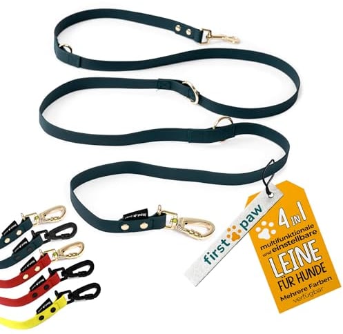 FIRSTPAW Hundeleine - Grüne Leine 2m - für kleine, mittelgroße und große Hunde - Doppelleine für 2 Hunde - Gepolstert, Multifunktional (Gold).