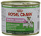 Royal Canin Dog Food Starter Mousse 12 x 195 g