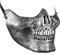 shoperama Totenkopf Halbmaske Silber Skull Schädel Skelett Geist Gevatter Tod Halloween Kostüm-Zubehör Maske