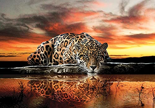 WallArena Fototapete Leopard 3D Jaguar Tiere Afrika Safari Orange Wohnzimmer Schlafzimmer Wandtapete Vlies Tapete UV-Beständig Geruchsfrei Montagefertig (14001, V8 (368x254 cm) 4 Bahnen)