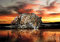 WallArena Fototapete Leopard 3D Jaguar Tiere Afrika Safari Orange Wohnzimmer Schlafzimmer Wandtapete Vlies Tapete UV-Beständig Geruchsfrei Montagefertig (14001, V8 (368x254 cm) 4 Bahnen)