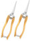 SHINEOFI 2 Pezzi cesoie tagliaunghie potatore piccolo pianta potatura Forbici Strumenti manuali da giardino potatori manuali per giardinaggio Acciaio inossidabile Golden