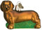 Old World Christmas Christbaumschmuck: Hunde-Kollektion, Glasornamente für Weihnachtsbaum Dackel 3x3 braun