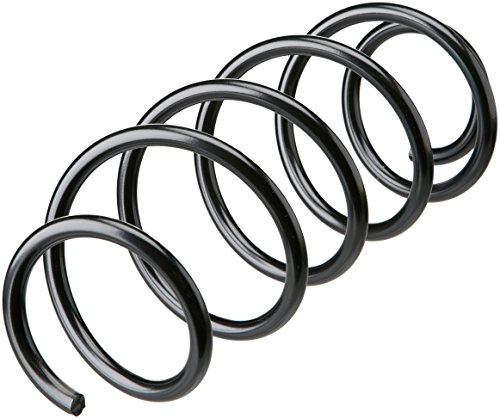 lesjofers 4066810 Coil Spring Front