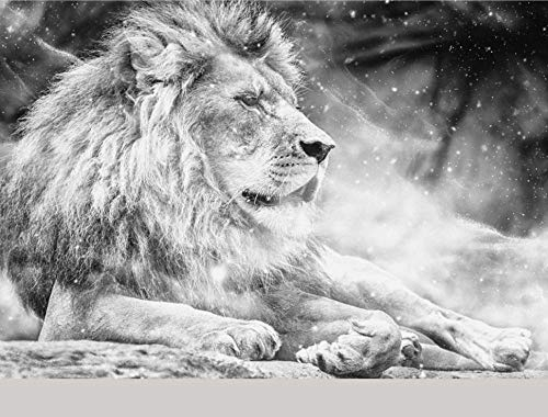 Fototapete 3D Effekt Tapete 3D Schwarz Und Weiß Männlicher Löwe - Moderne Wanddeko Design Tapete Abstraktion Und Kunst-Tiere/Fauna Wohnzimmer Schlafzimmer Dekoration -200x140CM-XL