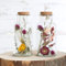 comforder Trockenblumen im Glas mit Korken 2er Set, getrocknete Blumen-Deko in breitem Glas (groß/bunt)