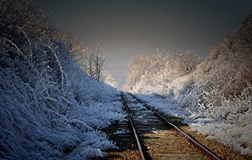 LHJOYSP Puzzle lustig 1000 Teile,natürliche Schönheit,Eisenbahn,75x50cm