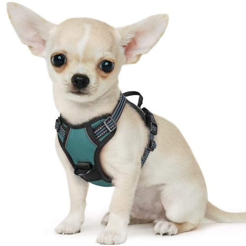 Eagloo Hundegeschirr Kleine Hunde, Anti Zug Hundegeschirr mit Reflexstreifen und Kontrolle, Verstellbar, Einstellbar und Langlebige Brustgeschirr Hund, Geeignet zum Gehen und Joggen, Dunkelgrün, XS