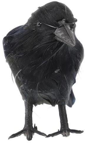 Gogogmee Künstliche Krähe Deko Für Halloween Realistisches Schwarzes Vogelornament Für Garten Und Partydekoration Langlebig Und Vielseitig Einsetzbar Für Gruselige Atmosphäre