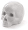 Seletti My Skull Kuriositäten, Porzellan, Weiß, 25 x 14 x 15 cm - Wandbild - Dekoration - Wohnzimmer