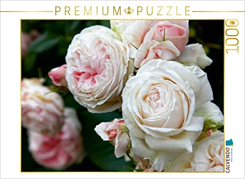 CALVENDO Puzzle Rosen im Garten | 1000 Teile Lege-Größe 64 x 48 cm Foto-Puzzle für glückliche Stunden