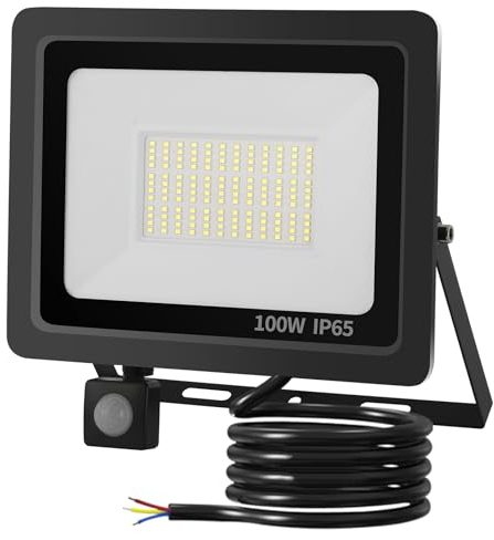 Mille Lucciole LED Strahler mit Bewegungsmelder Außen,100W Strahler mit bewegungsmelder Aussen,LED Strahler mit Bewegungsmelder 10000LM,LED Strahler Bewegungsmelder IP65 Wasserfest 6500K Kaltweiß