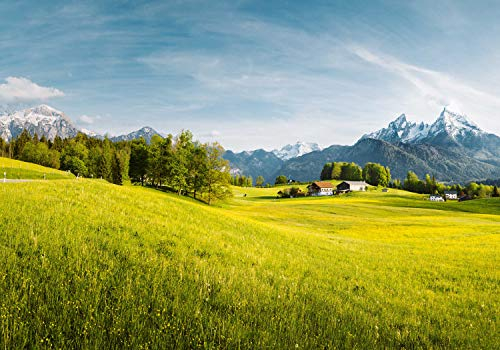 wandmotiv24 Fototapete Alpen Wiese Gebirge, 300 x 210 cm - selbstklebende Vliestapete 150g, Wanddeko, Wandbild, Wandtapete, Landschaft Alm M6197
