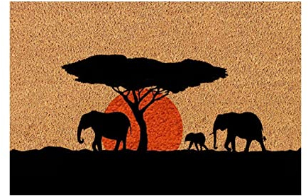 JAXICH Willkommen Fußmatte Außen schmutzfangmatt aussenbereich Türmatte lustig Türmatte 40x60 cm Elefanten Grasland und Sonnenuntergang Teppich Fußmatten für außen & innen I Fußabtreter für Haustür