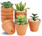 HDKAJL 10 Pezzi Vasi Per Piante, Vasetti Per Piantine, Mini Vaso Terracotta Con Foro Di Scarico, Vasi In Terracotta Fioriera In Ceramica Per Piante Succulente Di Cactus Per Interni/Esterni