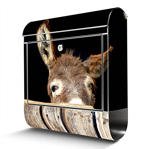 banjado® Briefkasten Edelstahl mit Motiv Esel 38x43x12cm & 2 Schlüssel - rostfreier Edelstahl Briefkasten mit Zeitungsfach - Postkasten A4 Einwurf inkl. Montagematerial