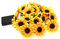 CVHOMEDECO. Sunflower String Lights Artificial Silk Flowers Battery Powered Fairy Starry Lights for Wedding Birthday Party and Holiday Seasonal Décor, 13 ft/20 LEDs