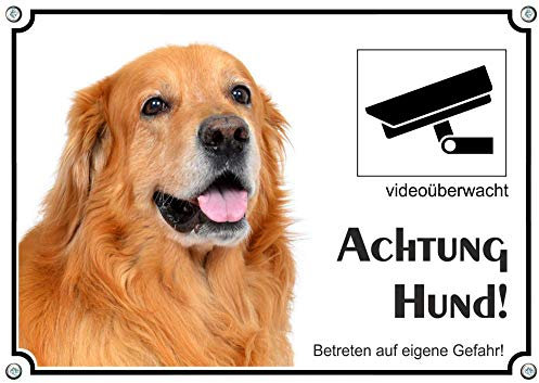 Petsigns Hundeschild Blonder Hovawart - Metallschild Achtung Hund - Videoüberwachung, DIN A3