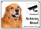 Petsigns Hundeschild Blonder Hovawart - Metallschild Achtung Hund - Videoüberwachung, DIN A3