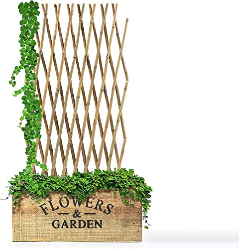 Floordirekt Rankgitter 60cm hoch aus Holz Bambus Spalier für Garten, Balkon & Terrasse | Individuell ausziehbar | Witterungsbeständig & langlebig | Gitterspalier (60 x 180 cm)