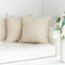Plüsch Kissenbezug 50x50 Beige – Flauschiger Deko Kissenbezug für Sofa, Couch & Bett – Weiche Kissenhülle – Waschbar & Kuschelig – Perfekt für gemütliches Wohnen, Schlafzimmer, Deko & Sofakissen