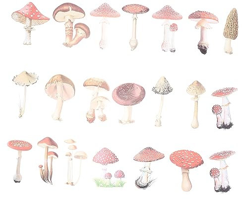 HOOTNEE 40 Stücke Aufkleber Laptop Pilz Aufkleber Sammelalbum Skateboard Gepäck Aufkleber