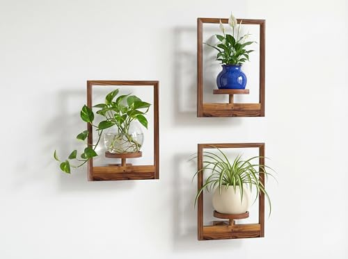 Homagle Porte Plante Interieur Lot De 3 Support Plantes Interieur éTagèRe Murale Pour Pots De Fleurs En Bois Pour Salle De Bain, Salon, DéCor Maison