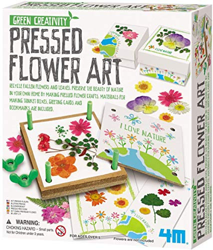 4M Toysmith Kit d'art créatif de Fleurs pressées Vertes pour garçons et Filles à partir de 5 Ans