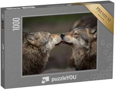 puzzleYOU: Puzzle 1000 Teile „Vertrauen unter Wölfen“ – aus der Puzzle-Kollektion Wölfe, Raubtiere, Tiere des Nordens, Tiere in Wald & Gebirge, Exotische Tiere & Trend-Tiere