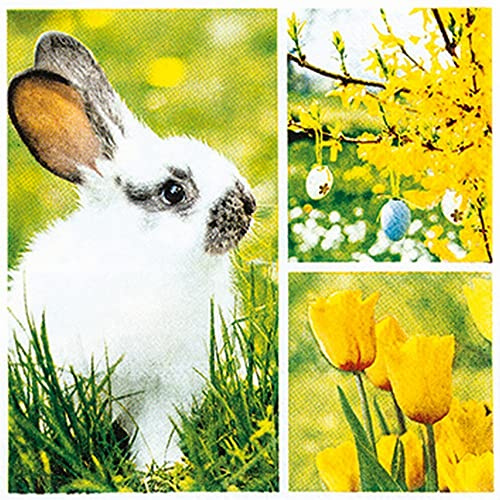 20 kleine Cocktail-Servietten Collage für den Frühling | Hase | Blumen | Tischdeko | Decoupage | Serviettentechnik 25x25cm