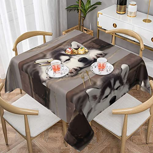 Tischdecke mit Husky-Design, rund, 137 x 137 cm, perfekt für Buffet-Tische, Partys