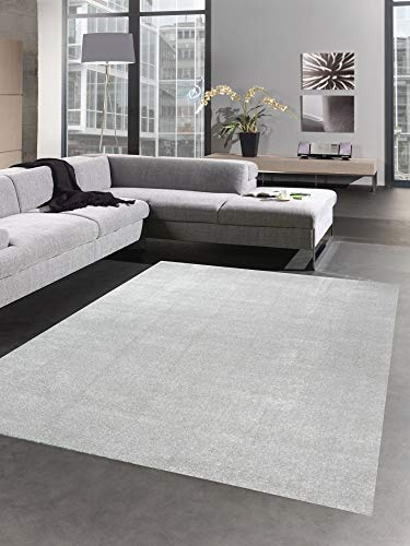 CARPETIA Moderner Teppich Wohnzimmerteppich Uni einfarbig Silber Größe 60x110 cm