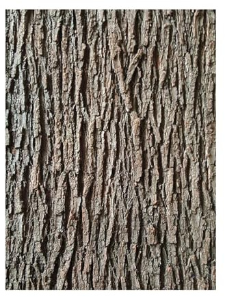 LOVIVER Artificial Tree Landscape Decor Crafts Easy to Use Wrap Rustic Faux Plant Simulation for Columns Indoor Outdoor, 200cmx100cm